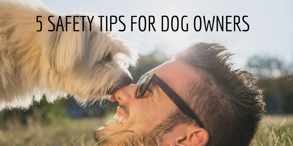 5 Safety Tips for Dog Owners