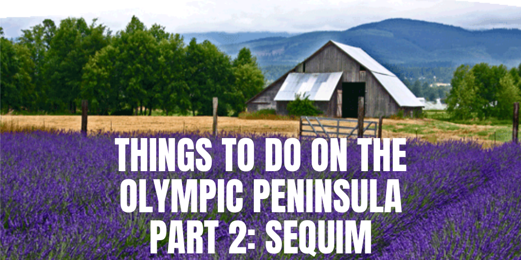 Things to do on the Olympic Peninsula Part 2: Sequim
