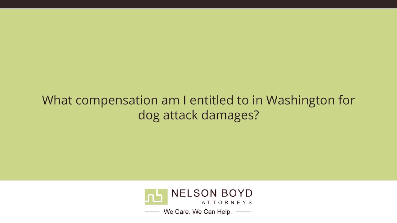 What compensation am I entitled to in Washington for dog attack damages